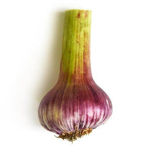 Fresh Garlic (1 bulb)