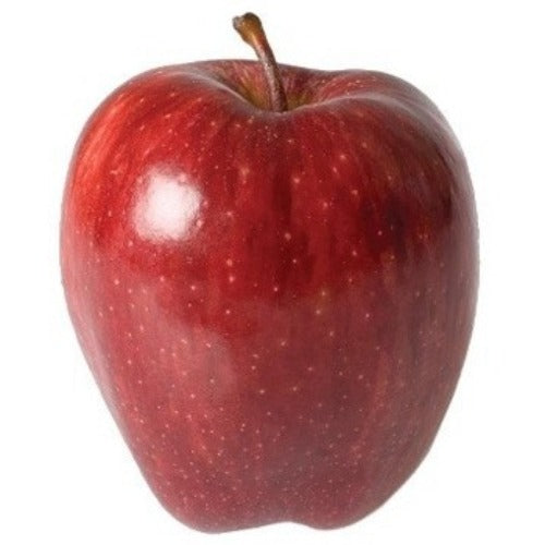 Red Chief Apple 100G