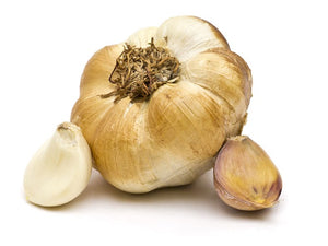 Smoked Garlic (1 Bulb)