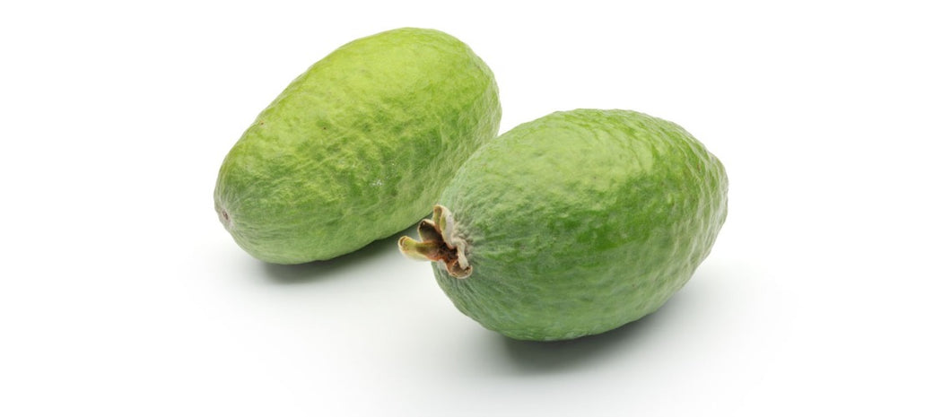 Feijoa 100G