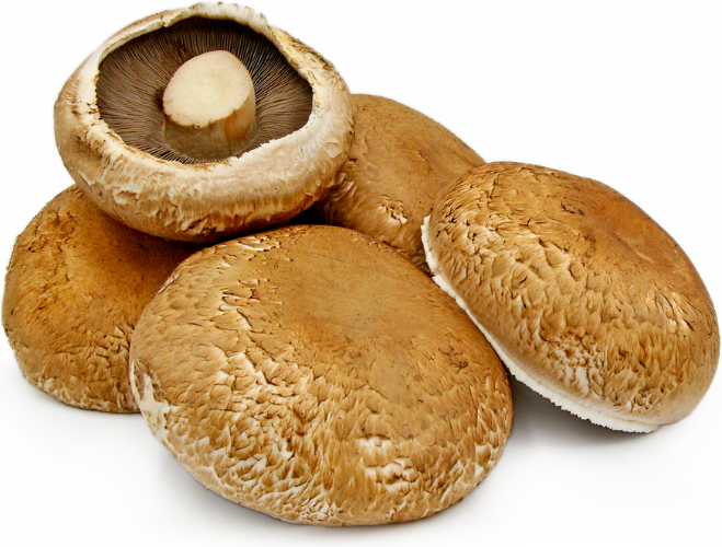 Portobello Mushroom 250G