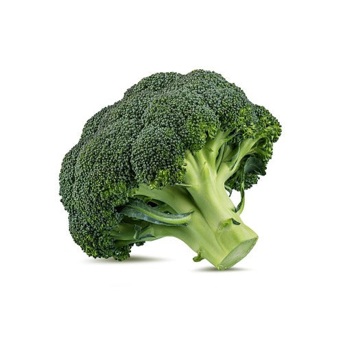 Organic Broccoli 500G
