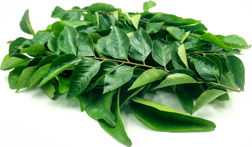 Curry Leaves 10G