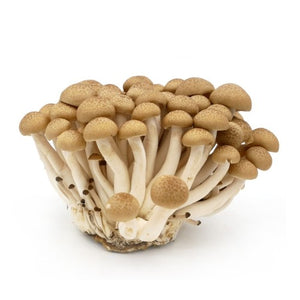 Brown Shimeji Mushroom 150G