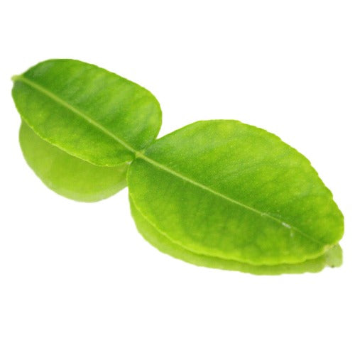 Kaffir Lime Leaves 10G