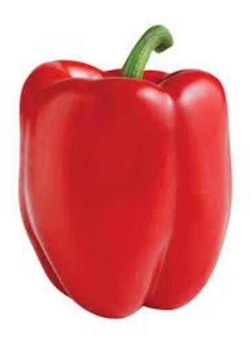 ORGANIC Red Bell Pepper 250G