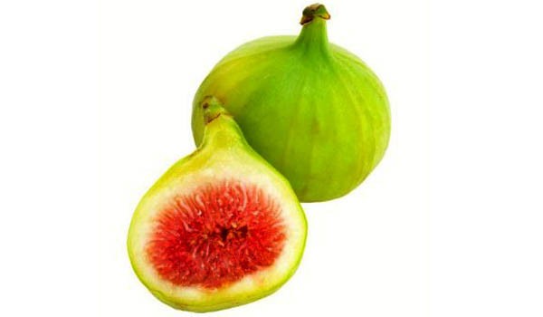 2 FIG ISCHIA GREEN