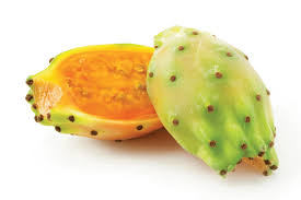 Prickly Pear