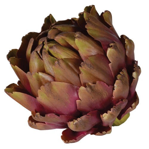 Purple Globe Artichoke